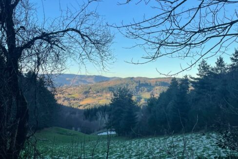 ladreyt-paysage2